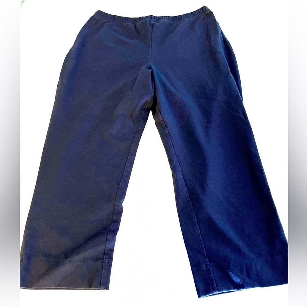Women with Control Navy Blue Leggings capris